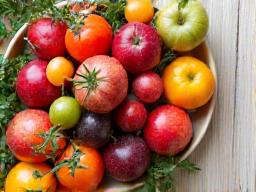 食卓に置かれた色とりどりの季節の果物